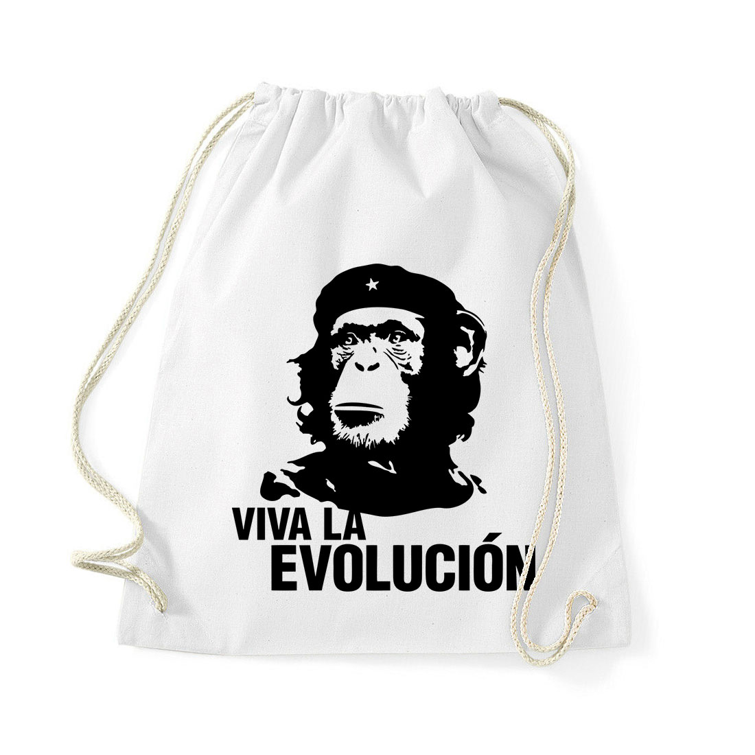 evolúció evolution majom csimpánz Fehér Tornazsák