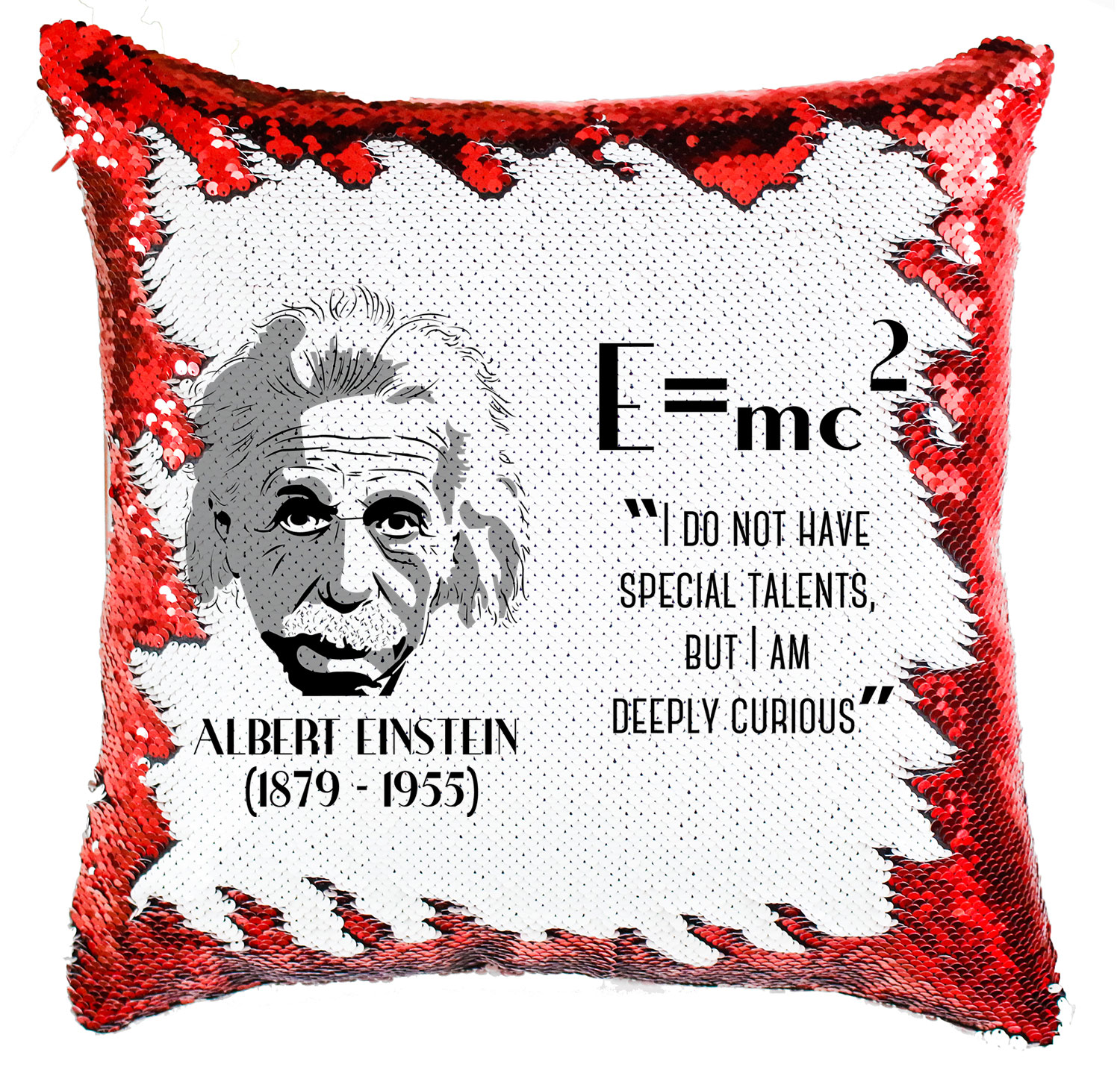 albert einstein Simiflitteres Párnahuzat
