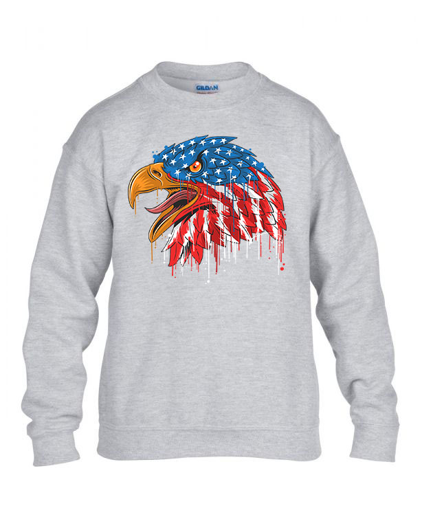 Amerikai Sas Sportszürke Gyerek Pulóver